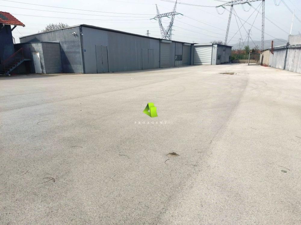 proagent photo