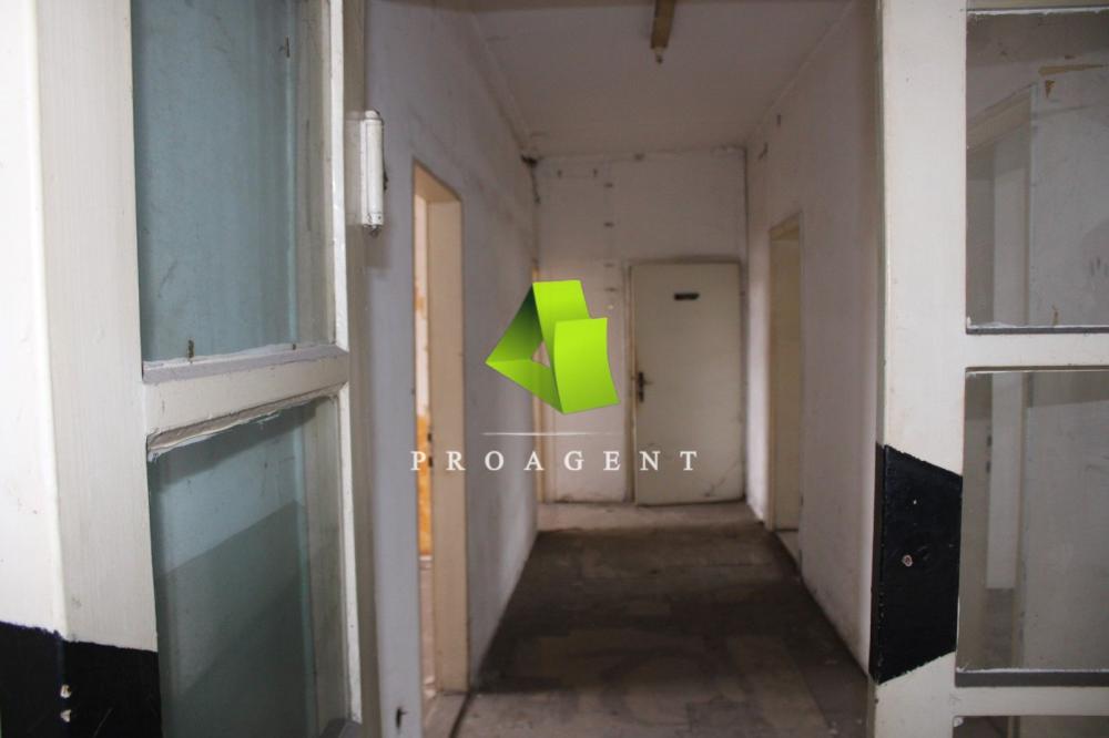 proagent photo