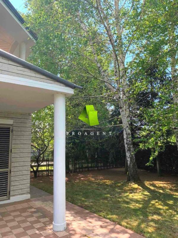 proagent photo