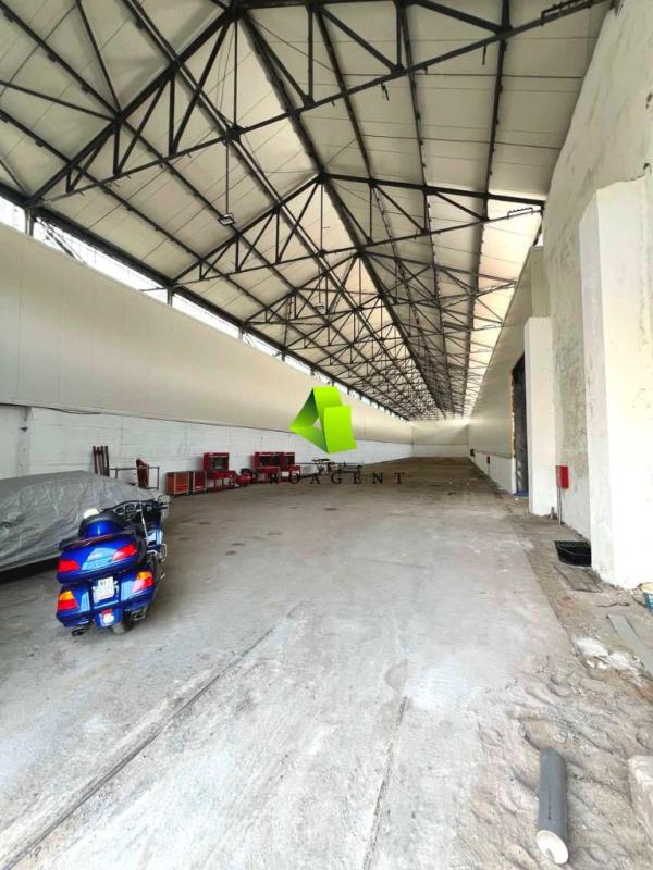proagent photo