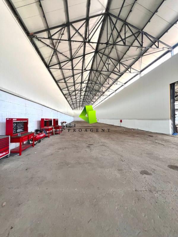 proagent photo