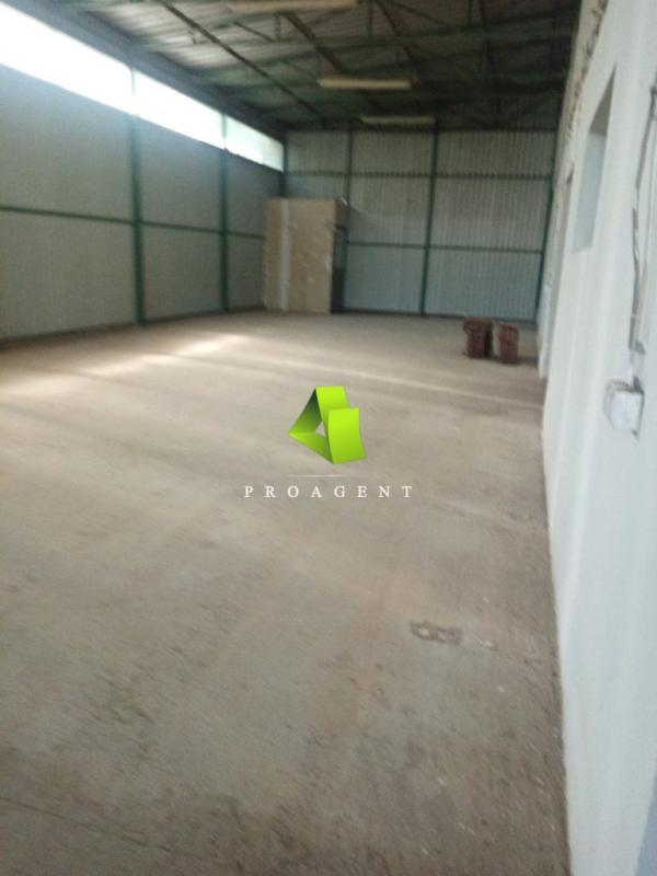 proagent photo