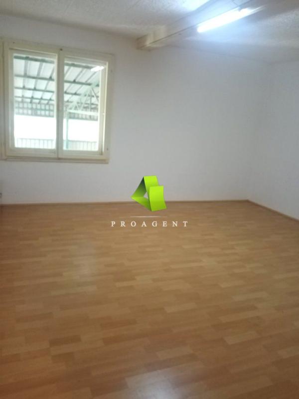 proagent photo