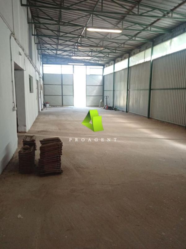 proagent photo