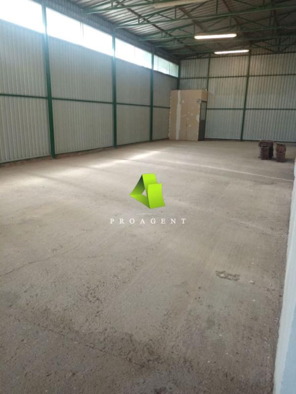 proagent slike