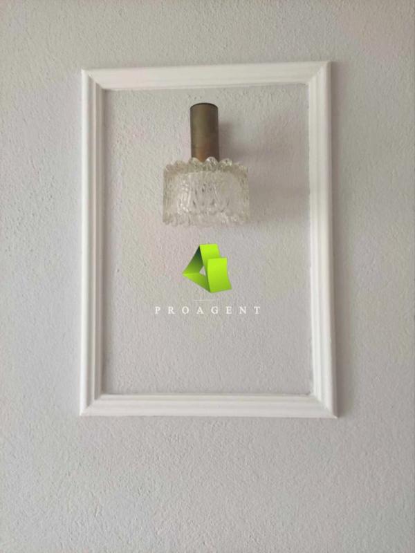 proagent photo