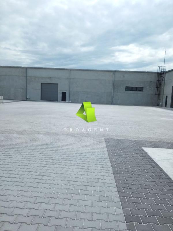 proagent photo