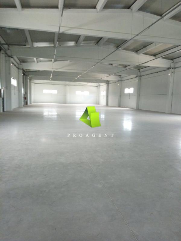proagent slike