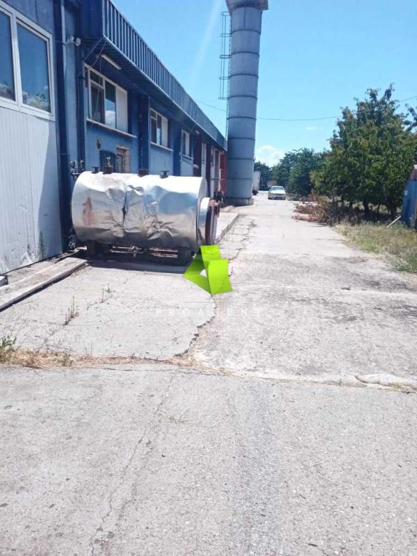 proagent photo