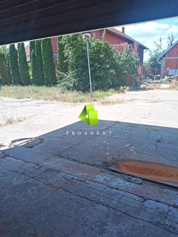 proagent photo