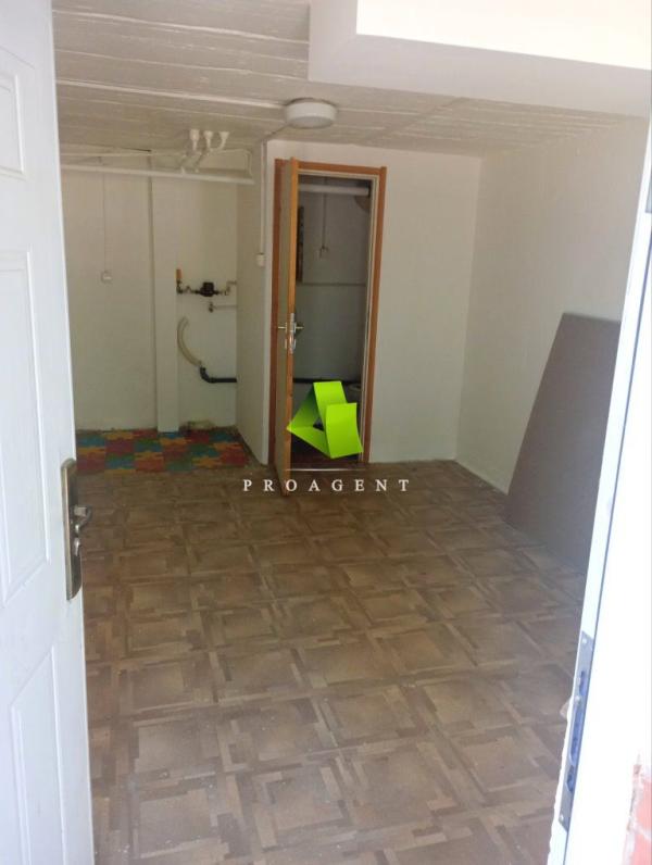 proagent photo