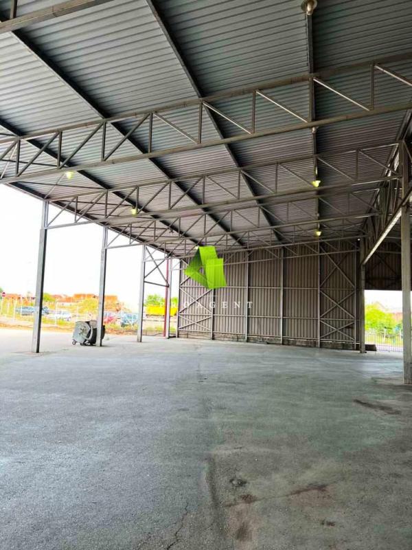 proagent slike