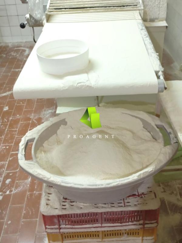 proagent photo