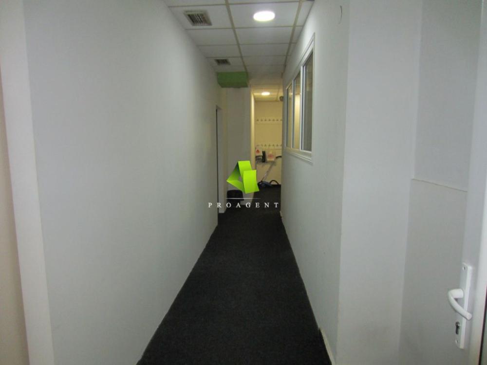 proagent photo