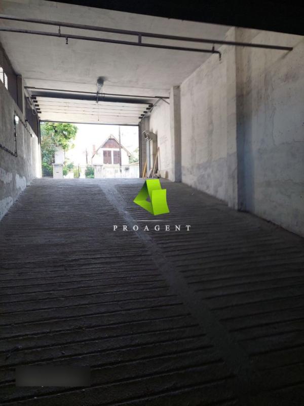 proagent photo