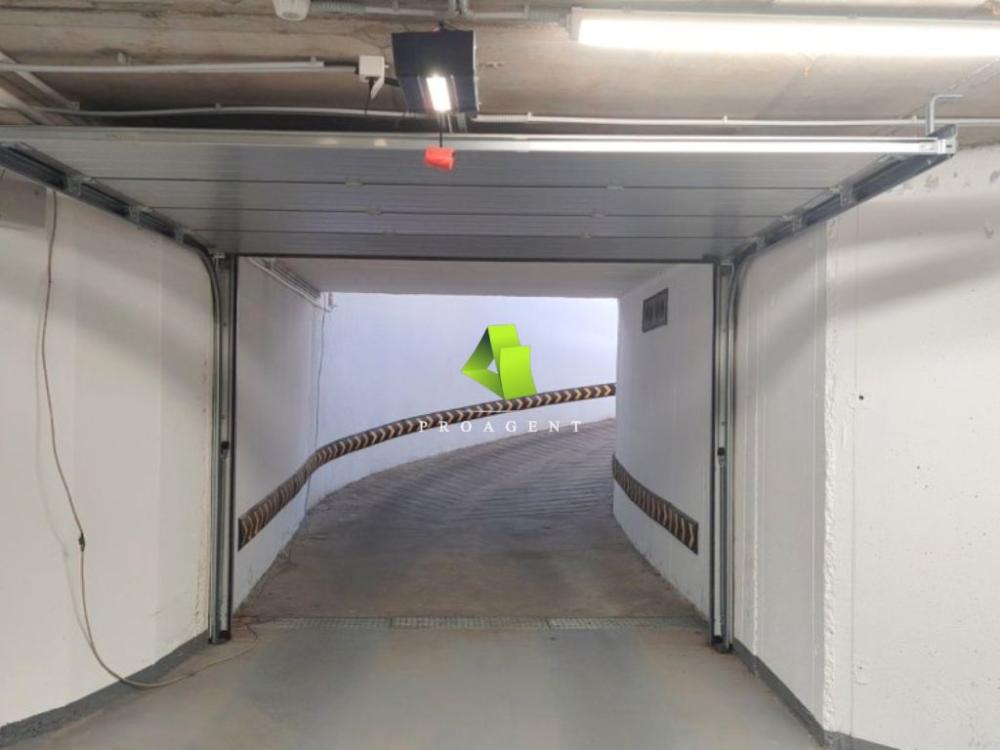 proagent photo