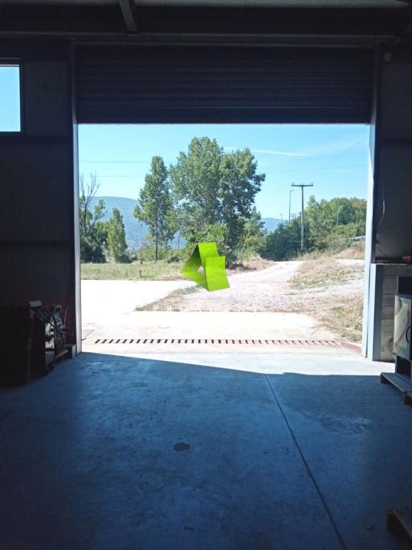proagent photo
