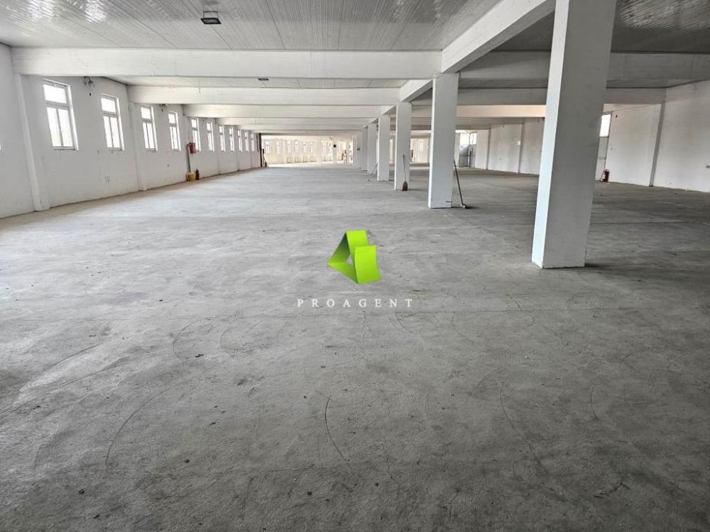 proagent photo