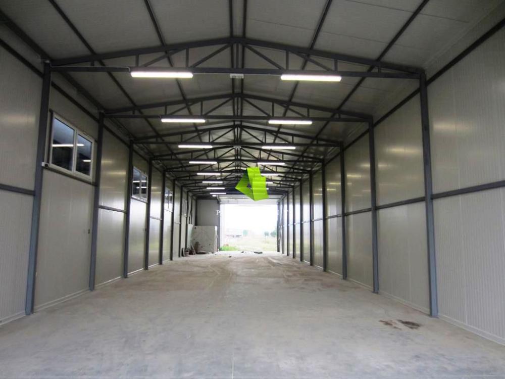 proagent slike
