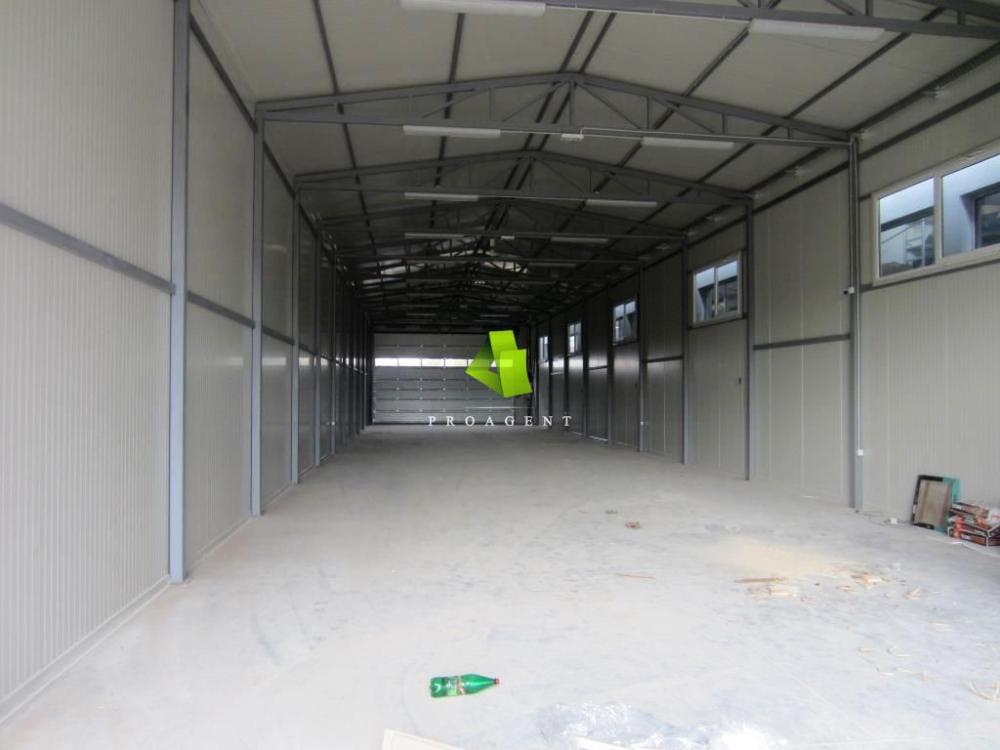proagent photo