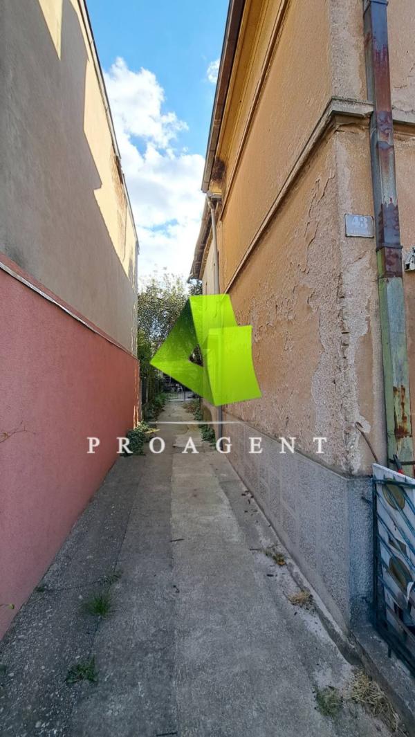 proagent photo